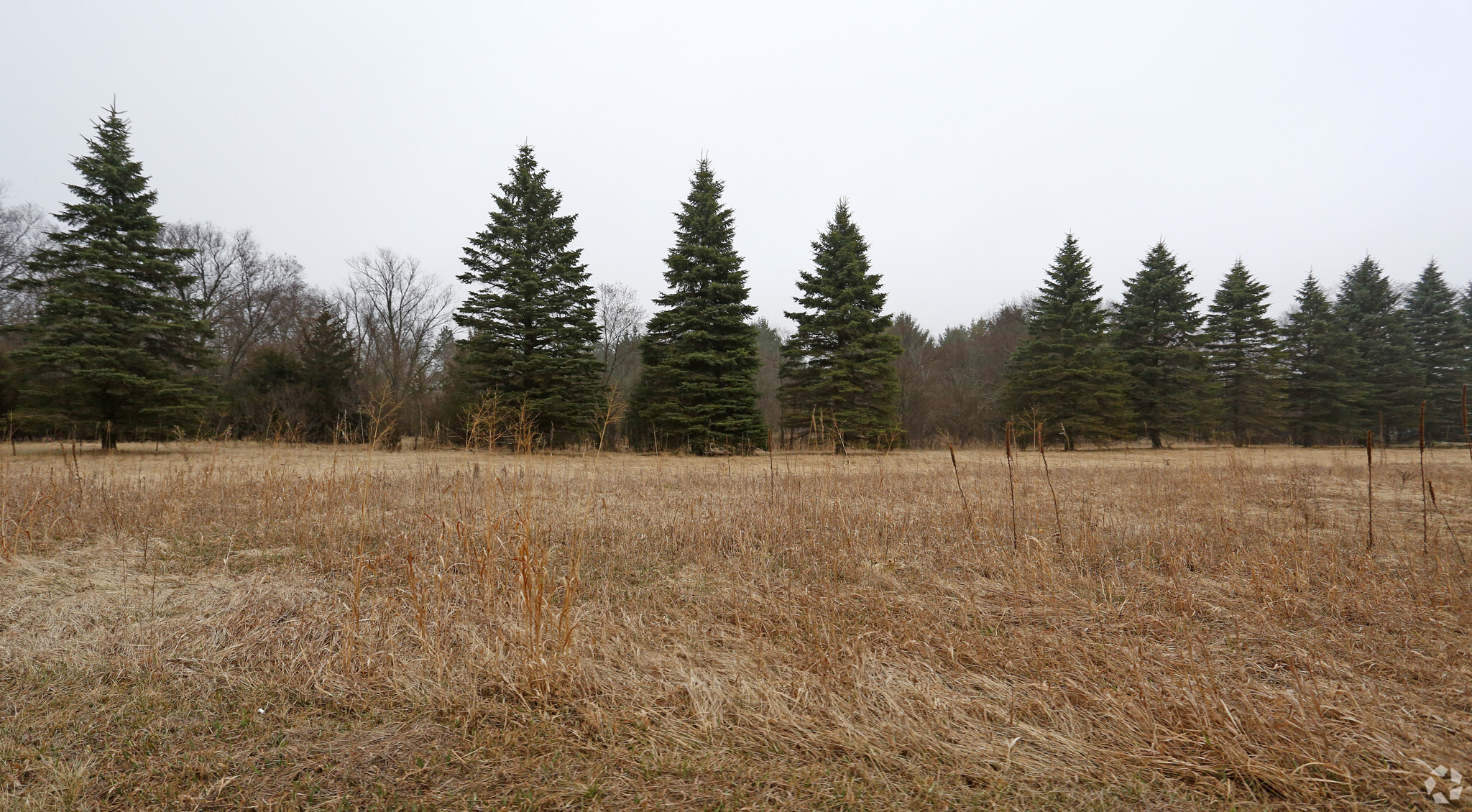 17667 198th Ave, Big Lake, MN for sale Primary Photo- Image 1 of 1