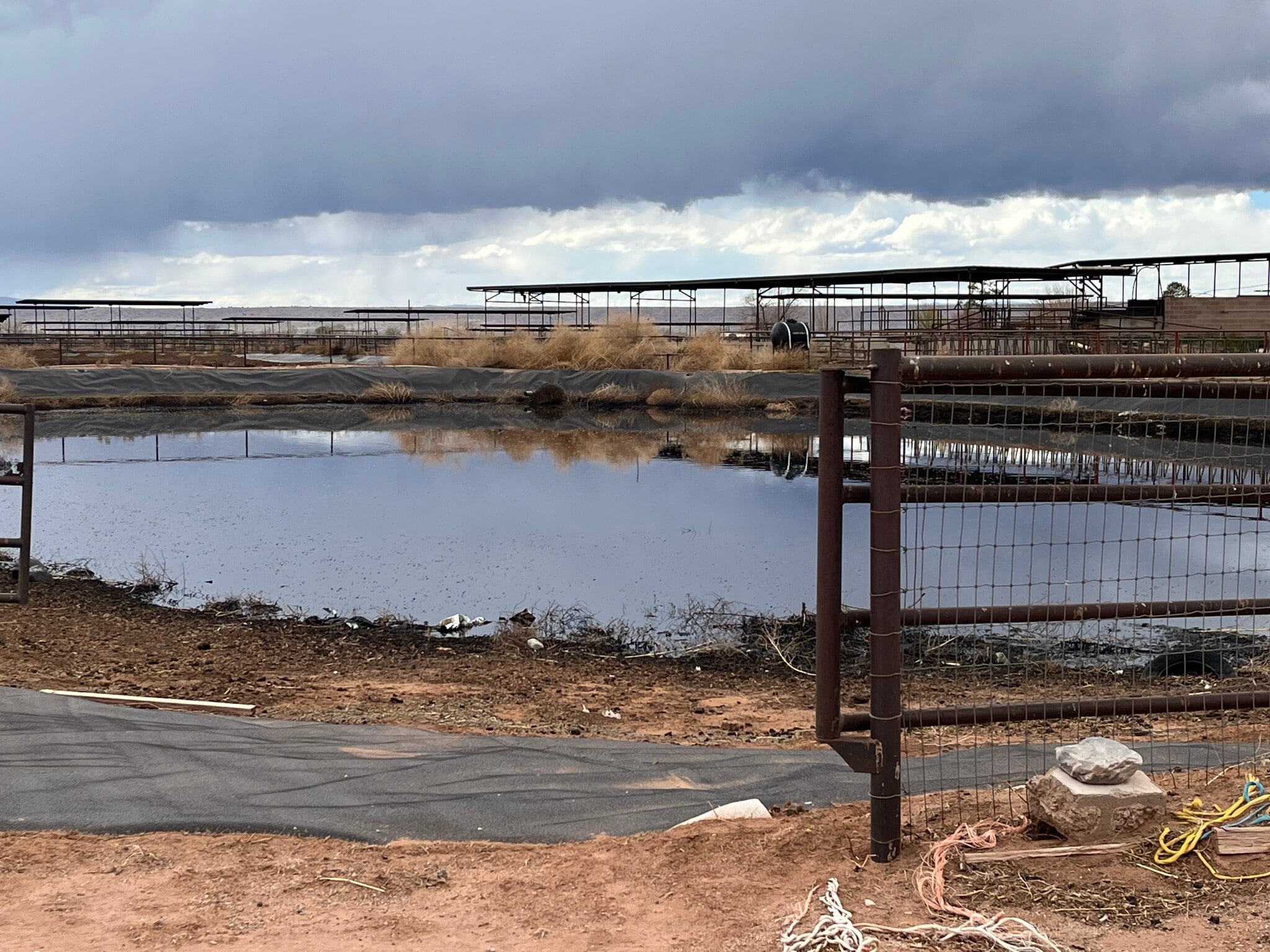 40 Miller Dairy Rd, Veguita, NM 87062 Livestock Farm