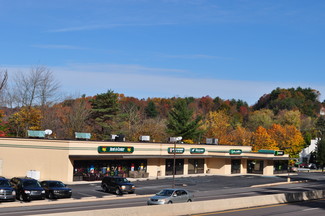 More details for 450-471 N Claude A Lord Blvd, Pottsville, PA - Retail for Lease