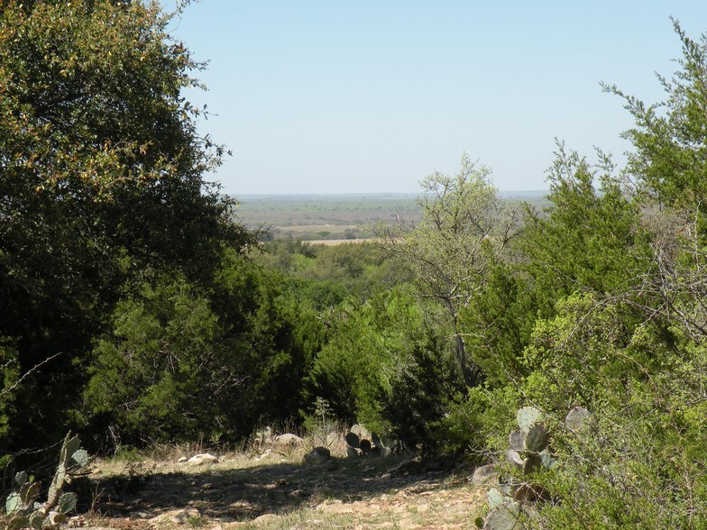 100 Ac McCulloch, Voca, TX 76887