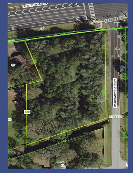 State Route 54 & Meadowbrook Dr, Lutz, FL for lease - Primary Photo - Image 1 of 1
