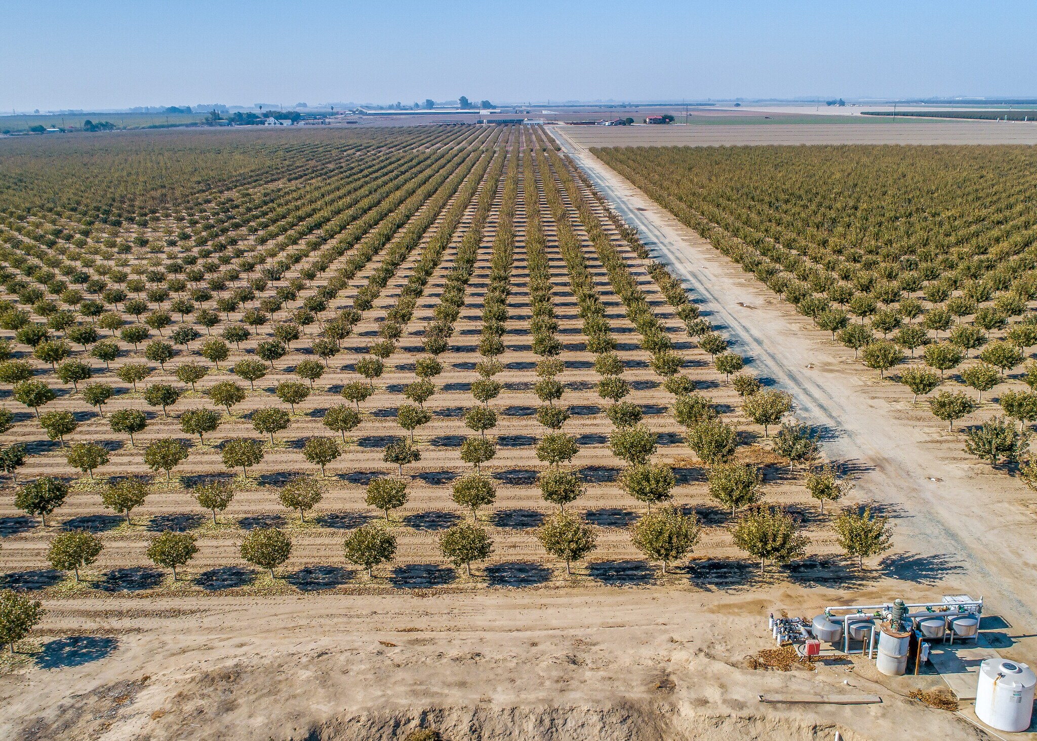 KENT, Hanford, CA 93230 GOLDEN HILL PISTACHIOS & OPEN GROUND