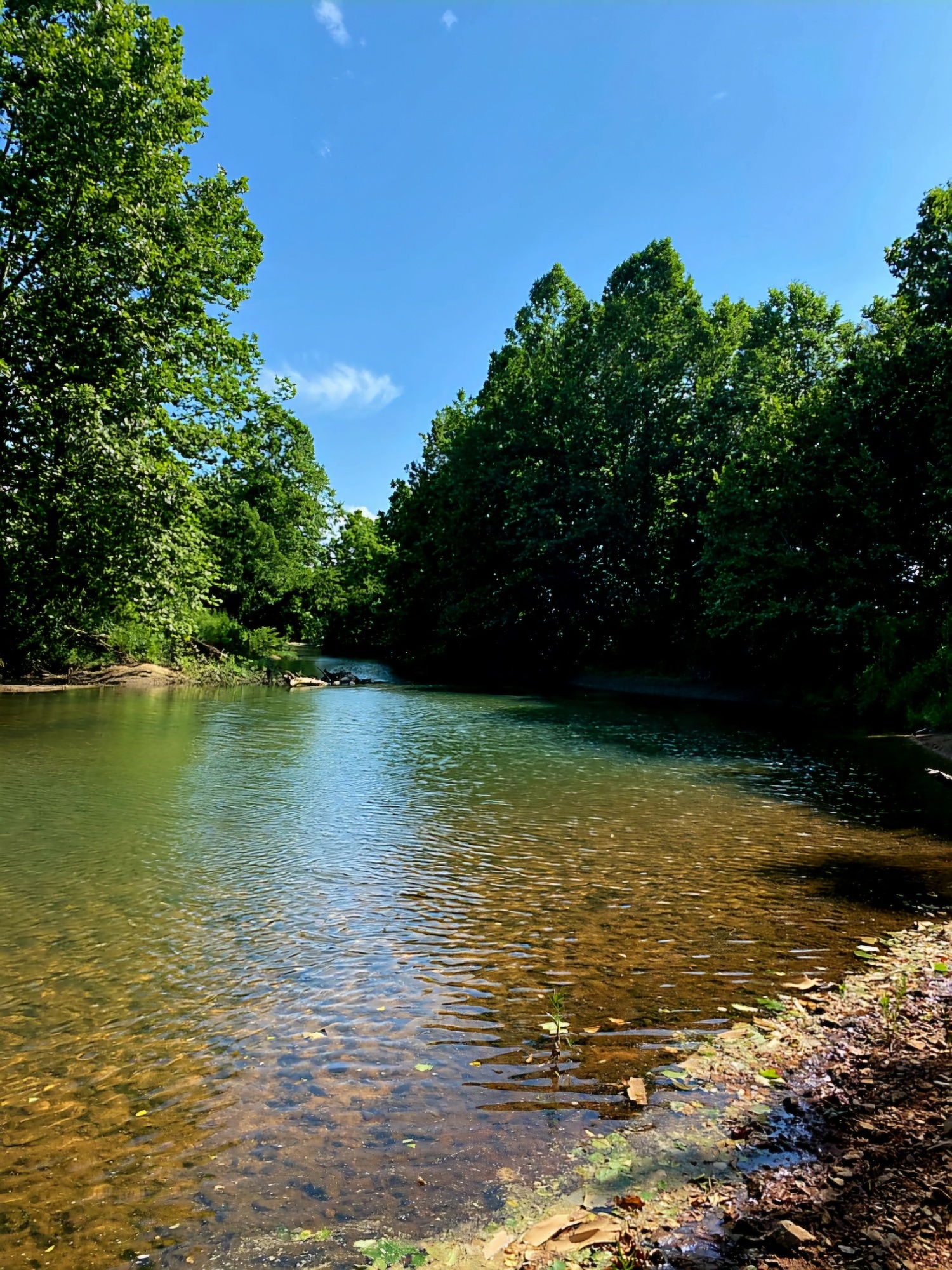 1551 Bullpen Road Rd, Wiseman, AR for sale Other- Image 1 of 9