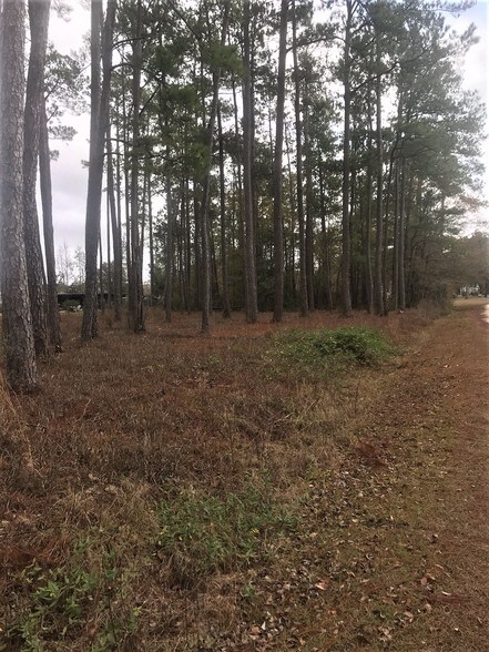 Serenity, Conway, SC for sale - Other - Image 1 of 1