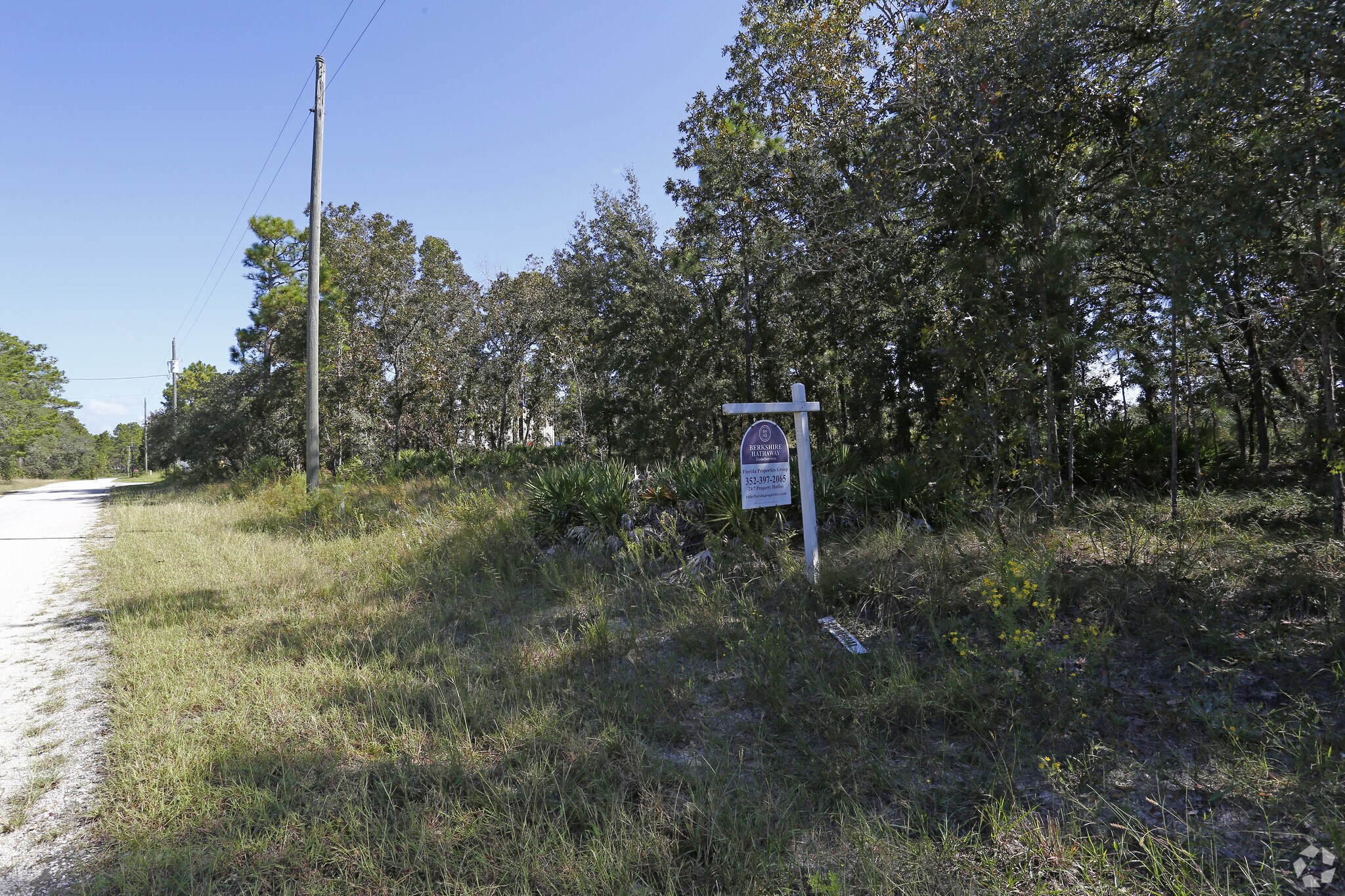 17328 Necklace Warbler Rd, Weeki Wachee, FL for sale Primary Photo- Image 1 of 1