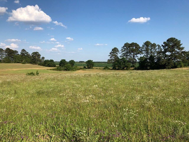 Red Dog Farm Rd, Cochran, GA for sale Primary Photo- Image 1 of 1