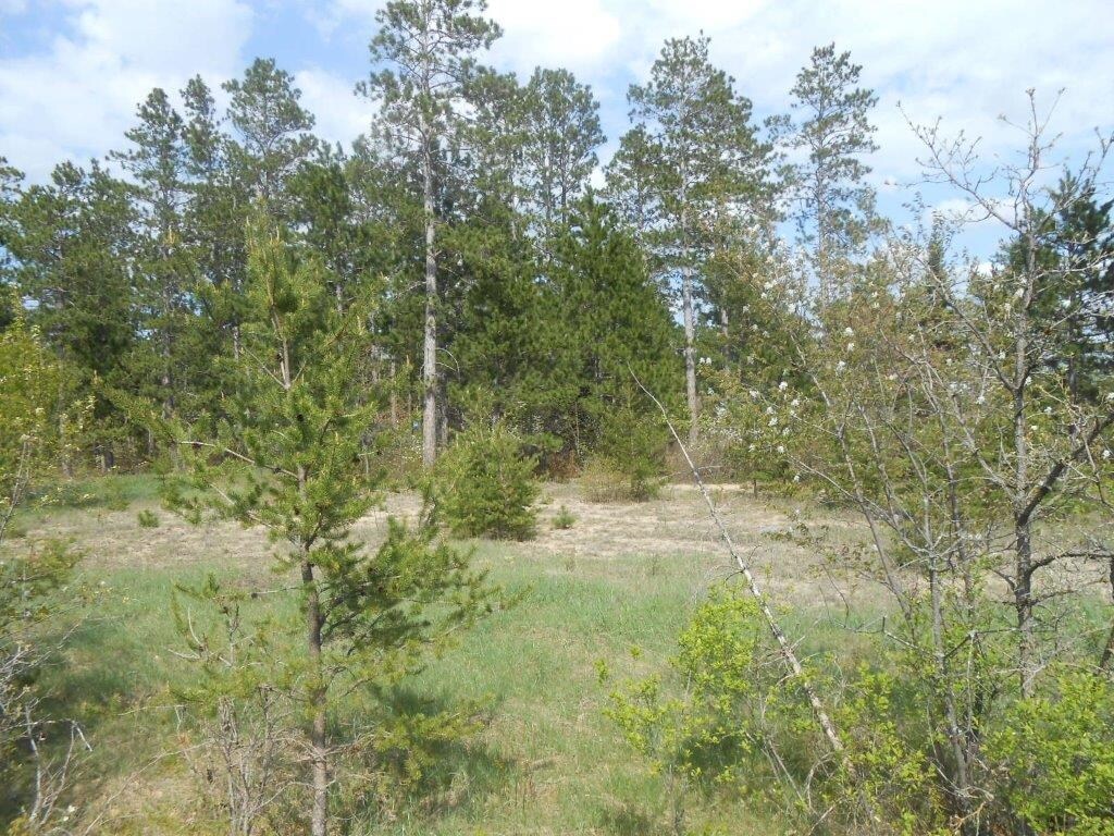 View Photo