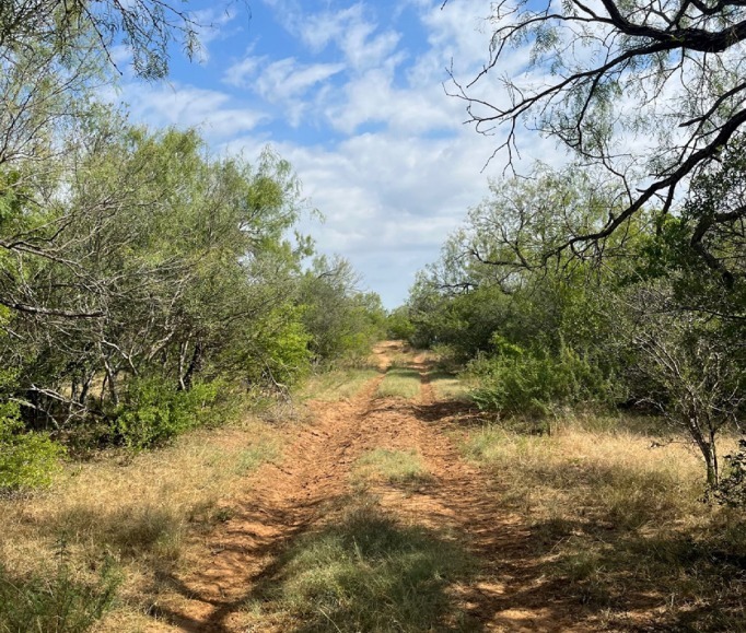 000 FM 642, Yancey, TX for sale - Building Photo - Image 3 of 7