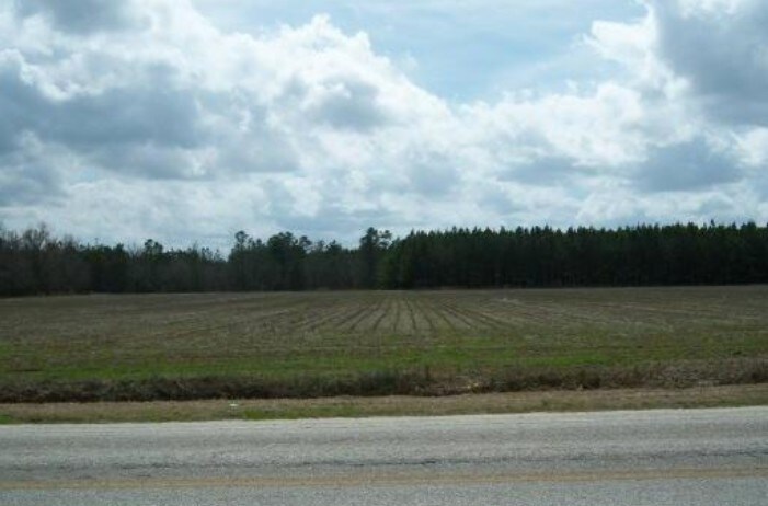 00 Zion Rd, Mullins, SC for sale - Primary Photo - Image 1 of 1
