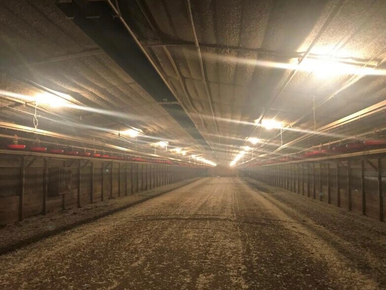 0 Westbury Rd, Reevesville, SC for sale - Building Photo - Image 1 of 1