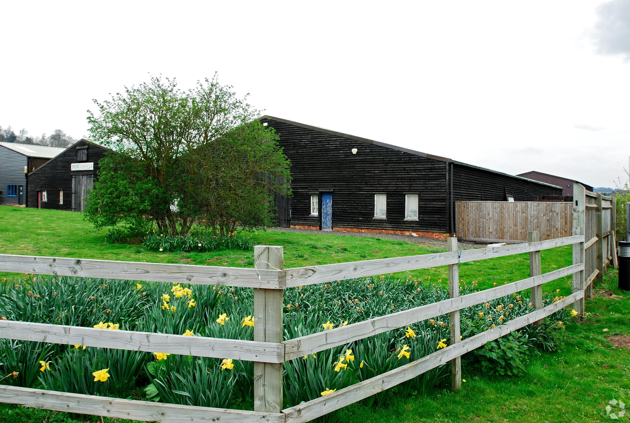 Old Portsmouth Rd, Guildford for lease Primary Photo- Image 1 of 5