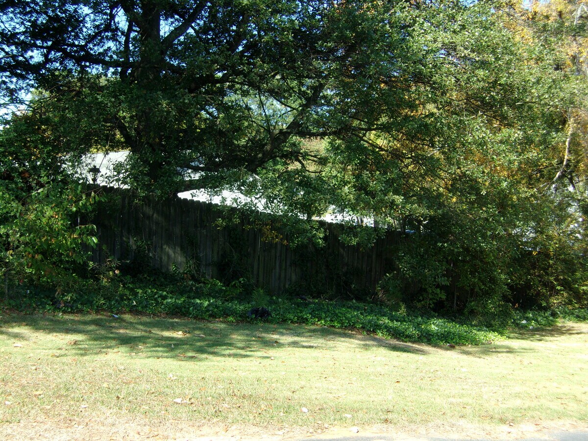 View Photo