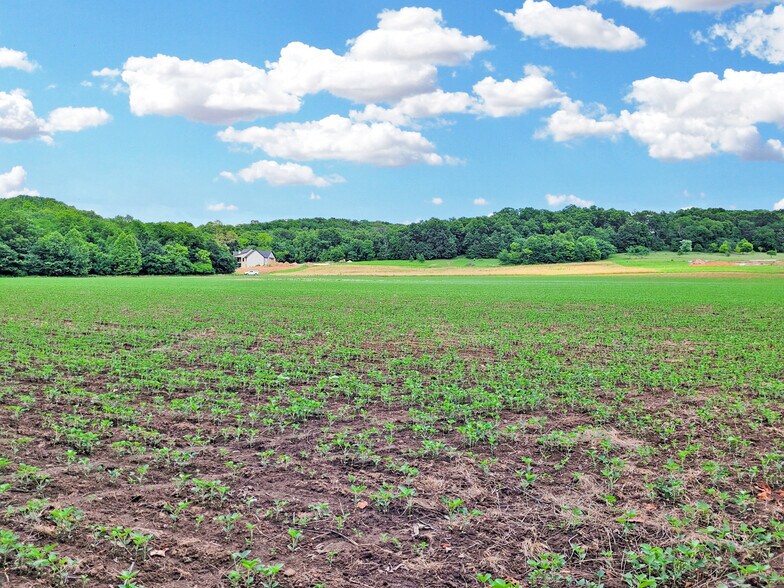 225 Valley View Dr, Hawk Point, MO 63349