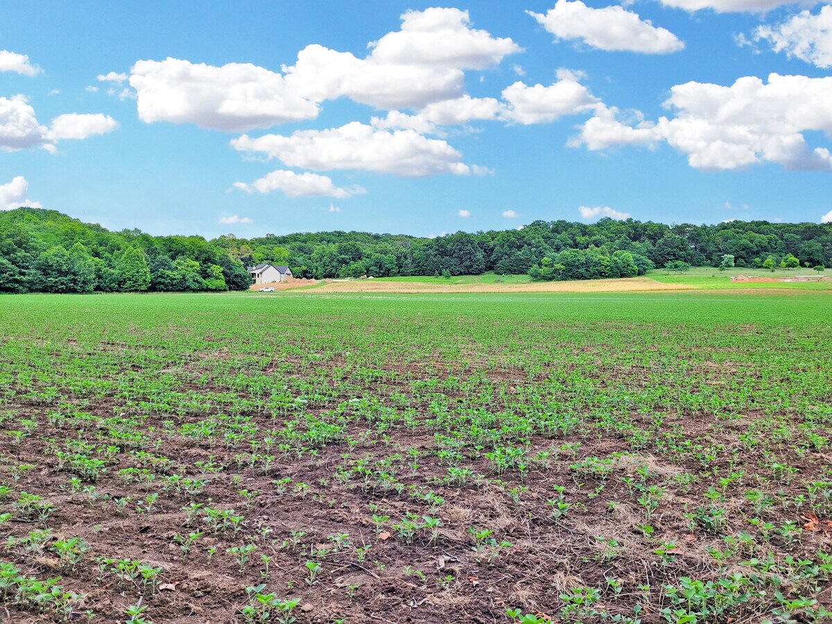 225 Valley View Dr, Hawk Point, MO 63349 225 Valley View (Lot 29 6