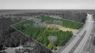 More details for 1477 Highway 74, Senoia, GA - Land for Sale