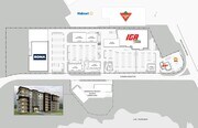 Le Projet Senator - Bar