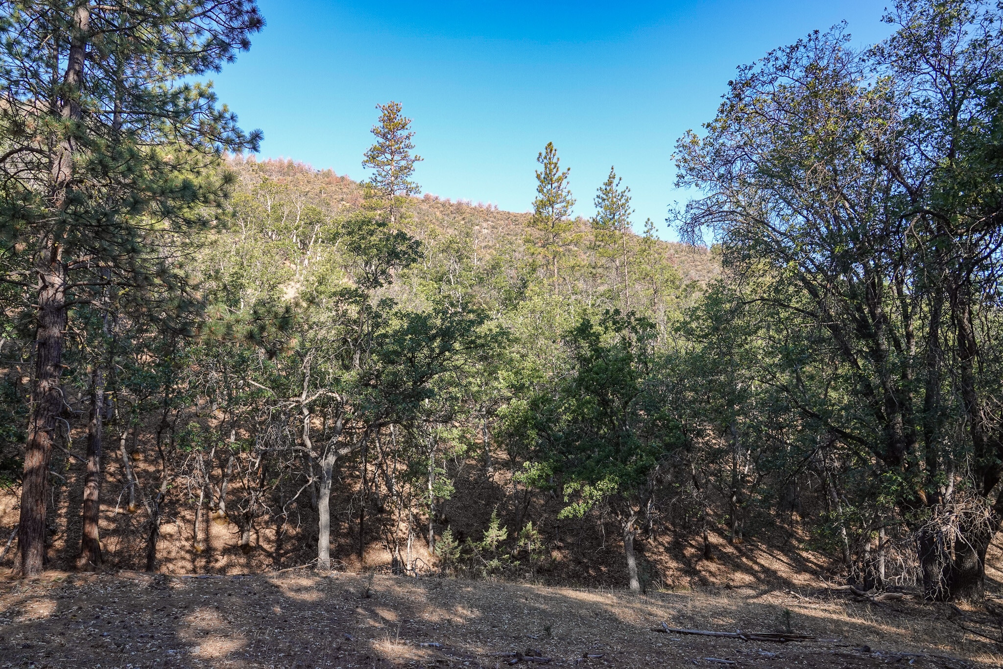 0 East Rd, Fort Jones, CA for sale Primary Photo- Image 1 of 26