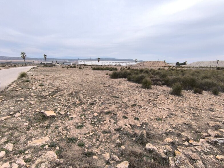 Land in MURCIA for sale - Building Photo - Image 1 of 8