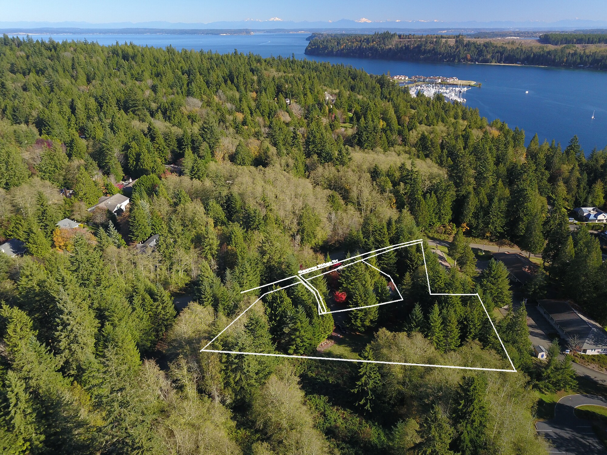 135 Osprey Ridge Dr, Port Ludlow, WA for sale Aerial- Image 1 of 1