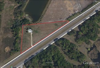 More details for 10308 US-301, Parrish, FL - Land for Sale