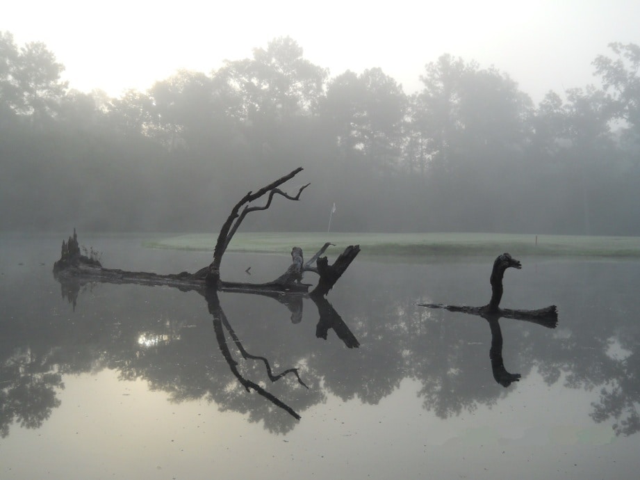 27350 Afton Way, Huffman, TX 77336 - Red Wolf Golf Course | LoopNet