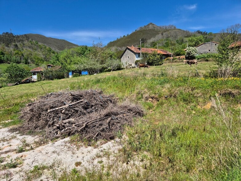 Lugar San Martín, 26, Cangas de Onís, Asturias for sale - Building Photo - Image 2 of 21