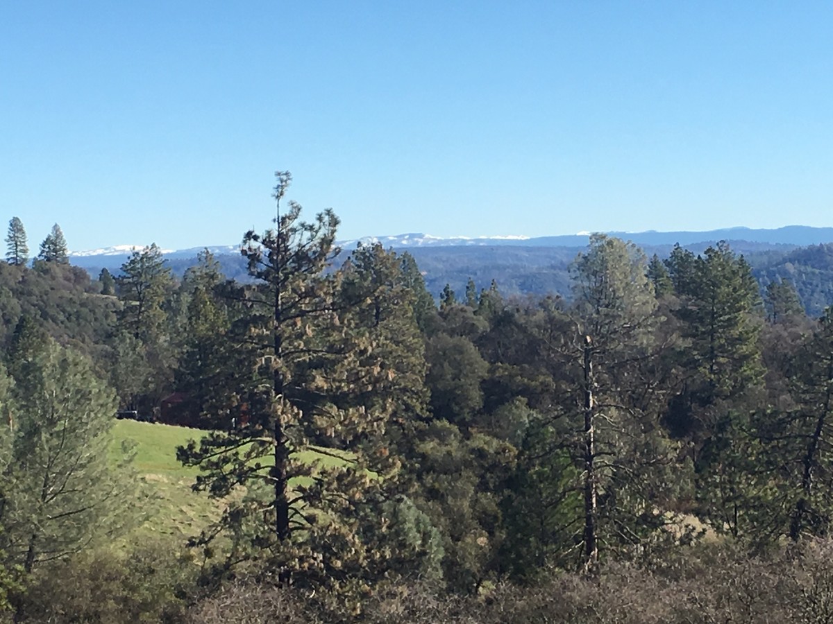 View Photo