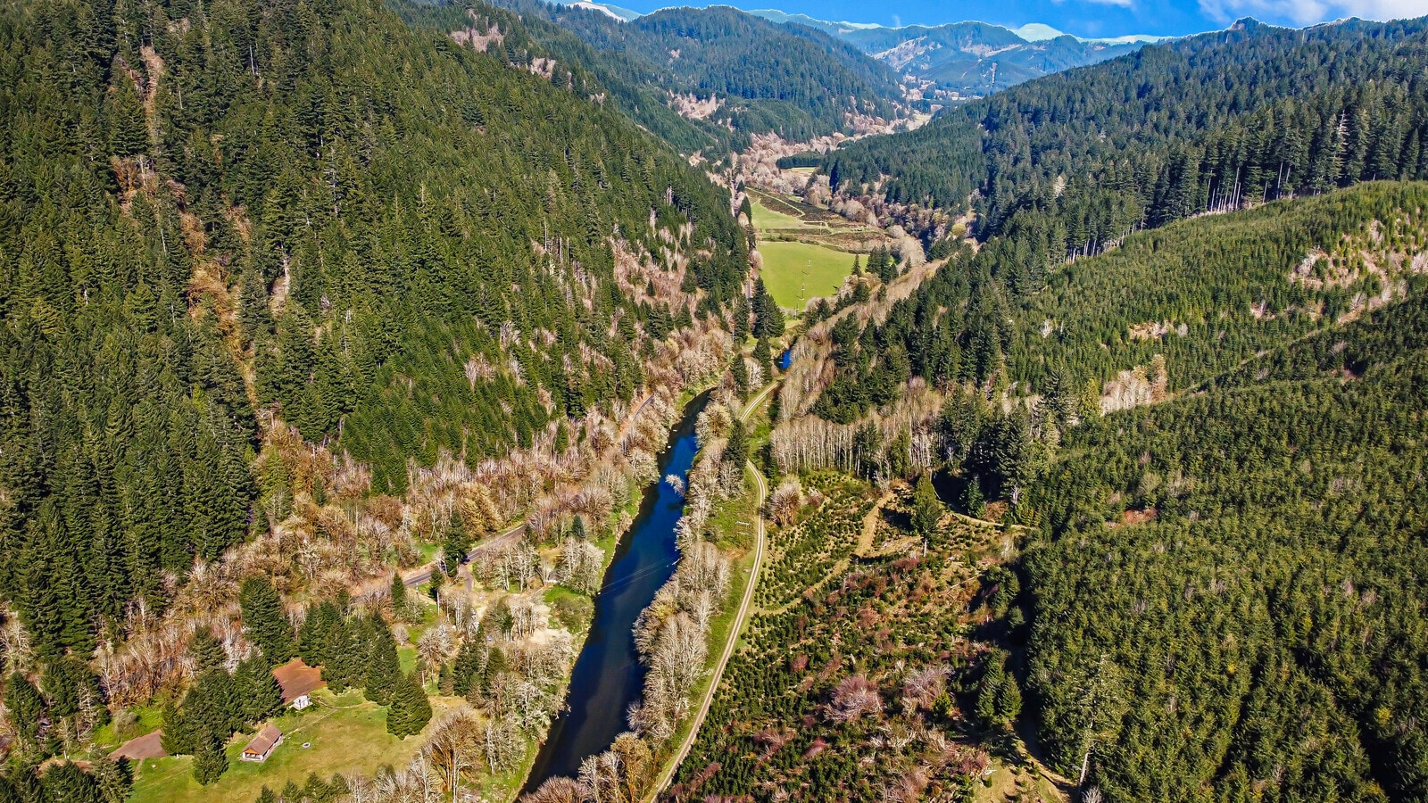 25596 Alsea Hwy, Alsea, OR 97324 Land for Sale