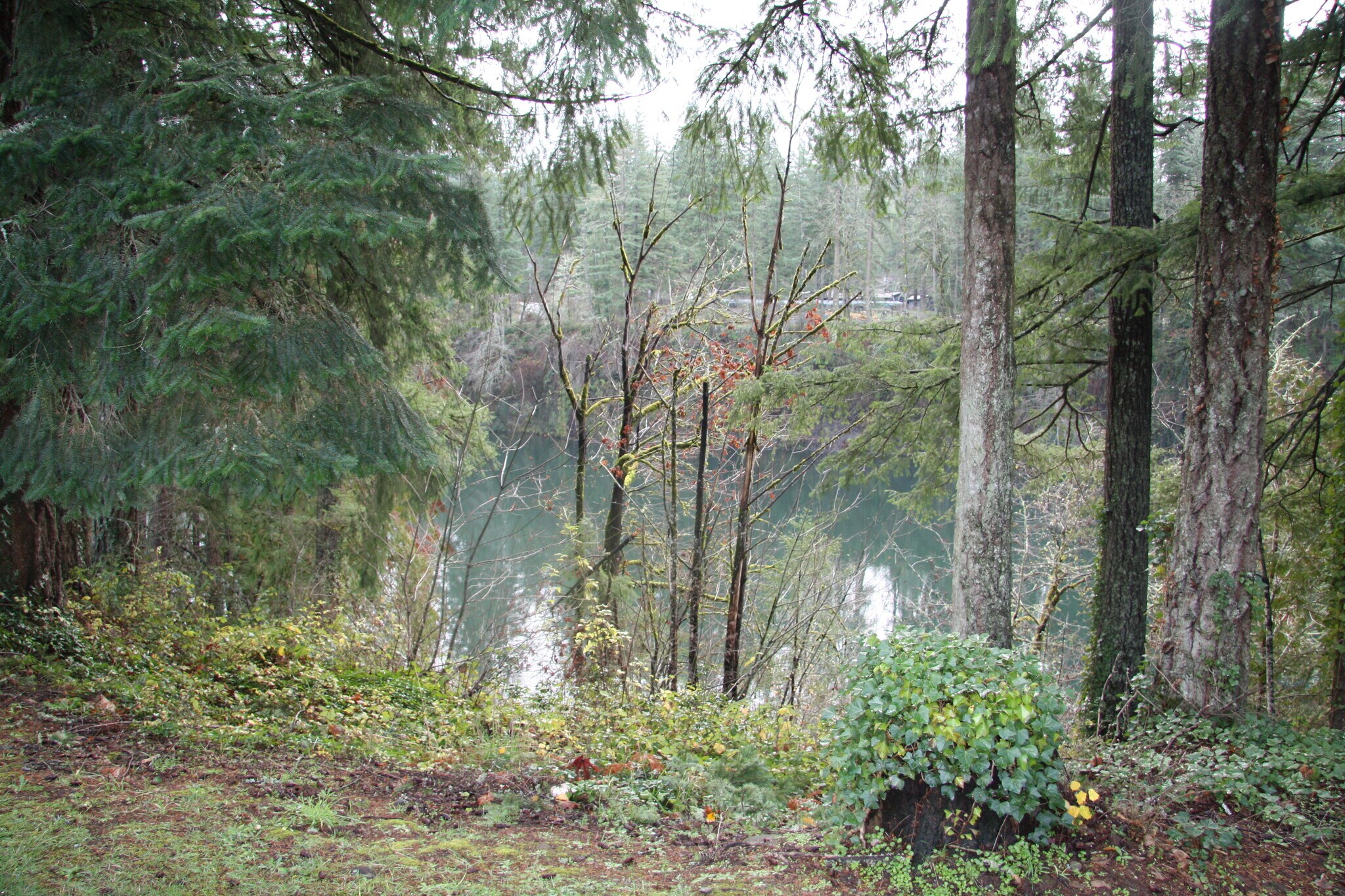 600 SW Beech Rd, Estacada, OR 97023 - Red Fox Motel | LoopNet