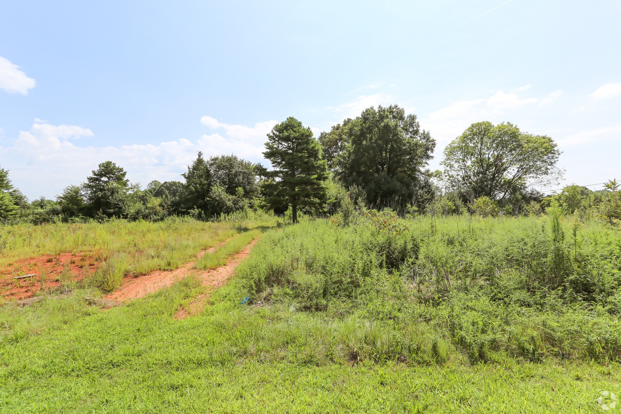 1312 Conover Blvd, Conover, NC for sale Primary Photo- Image 1 of 1