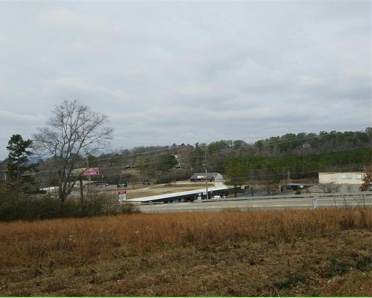 0 Redbud Rd, Calhoun, GA for sale - Primary Photo - Image 1 of 1