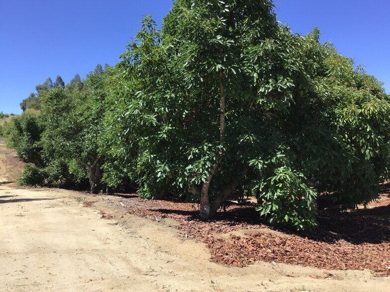 1 Monte Rancho Drive, Temecula, CA for sale - Other - Image 1 of 16