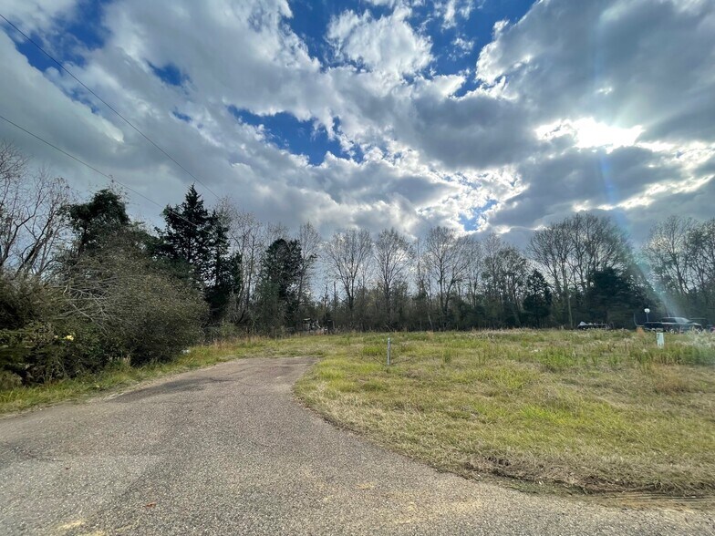 Charles Davis, Amite, LA 70422 22 Lots, One Price! Palm Gardens Estates