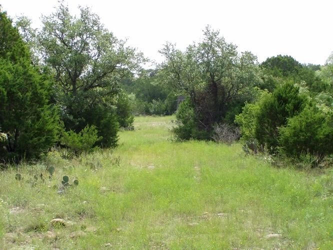 130 Lmc, Voca, TX 76825