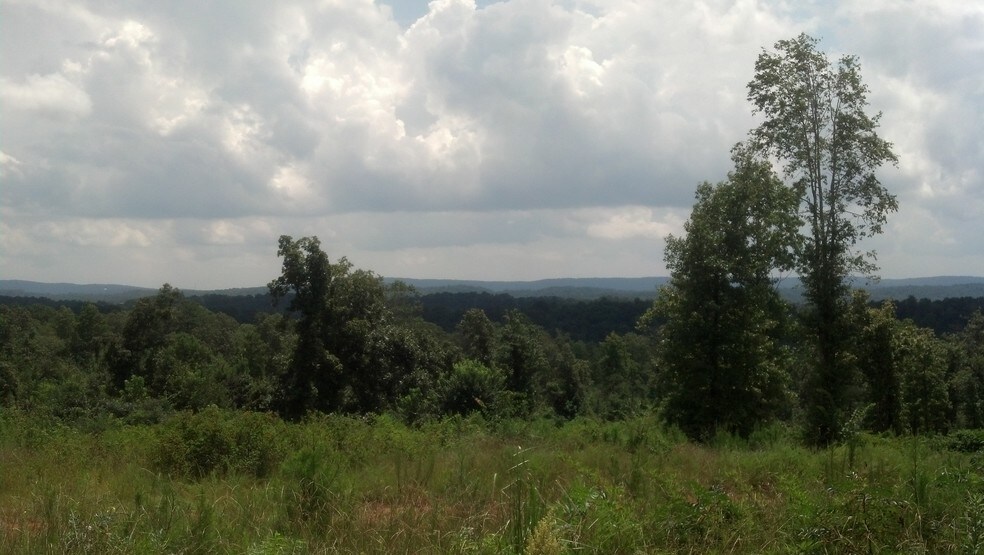 7651 Roper Tunnel Rd, Trussville, AL 35173