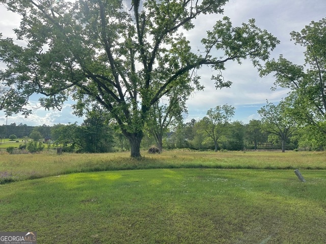 0 Scuppernong Dr, Helena, GA for sale Primary Photo- Image 1 of 1