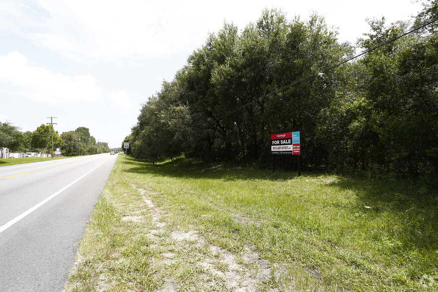 Lithia Pincrest Rd, Lithia, FL for sale - Primary Photo - Image 1 of 1