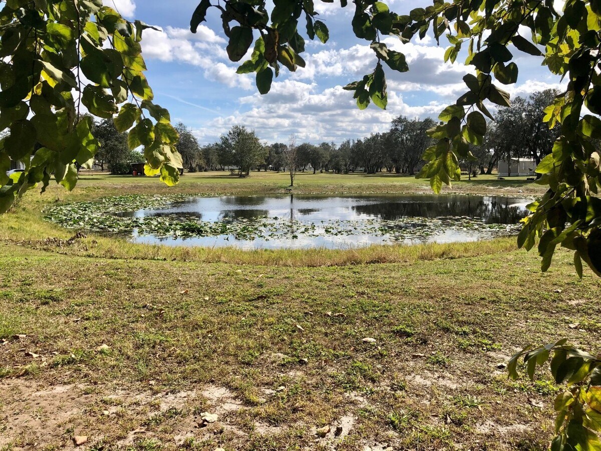 5544 Lake Buffum Rd, Lake Wales, FL 33859