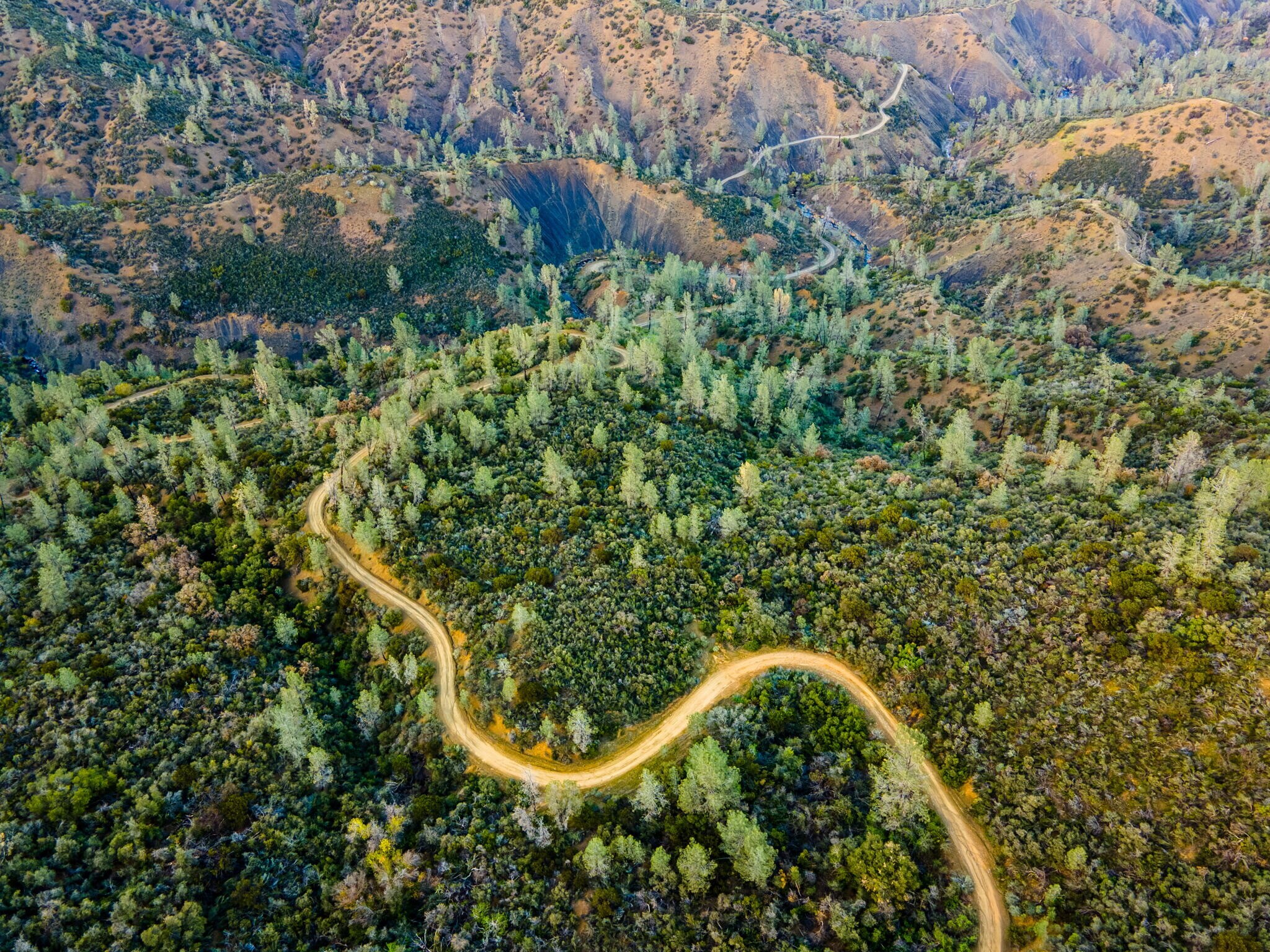 Raglin Ridge, Red Bluff, CA for sale Primary Photo- Image 1 of 1