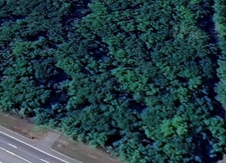 More details for 0 Highway 80 Hl, Bloomingdale, GA - Land for Sale