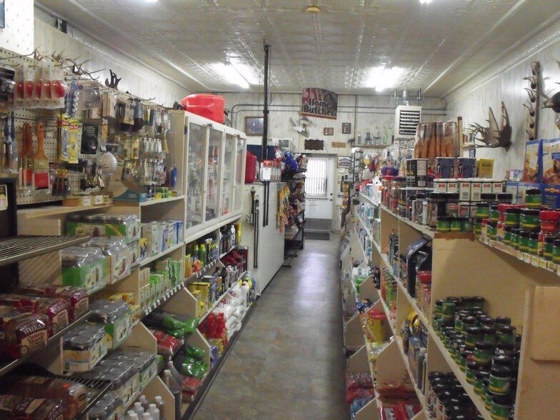 153 Main St, Bowlus, MN 56314 Retail for Sale