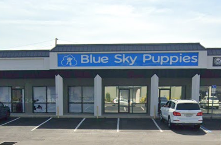 6160 Ulmerton Rd, Clearwater, FL for lease Interior Photo- Image 1 of 3