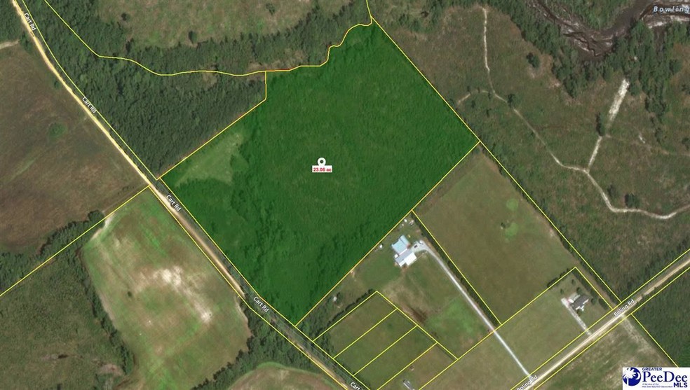 1151 Cart Rd, Pamplico, SC for sale - Other - Image 1 of 1