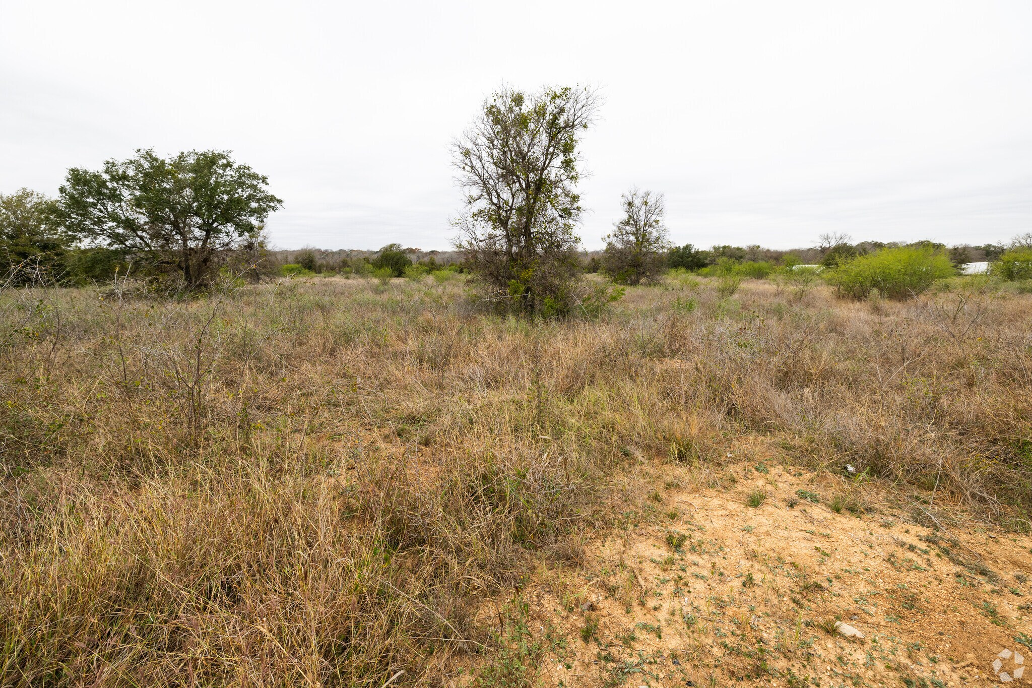 2123 State Hwy 123, Seguin, TX for sale Primary Photo- Image 1 of 1