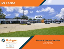 Pinnacle Plaza at Antoine - Storefront Property