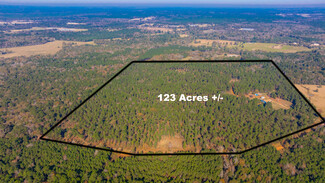 More details for 3600 County Rd 797, Nacogdoches, TX - Land for Sale