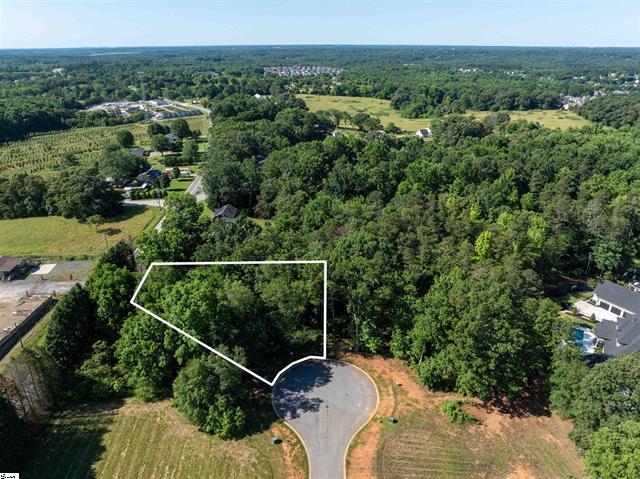 599 Adaliz Way, Greer, SC for sale Aerial- Image 1 of 1