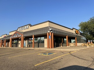 More details for 13018 50th St, Edmonton, AB - Retail for Lease