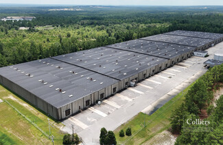 More details for 235 Standard Warehouse Rd, Lugoff, SC - Industrial for Lease