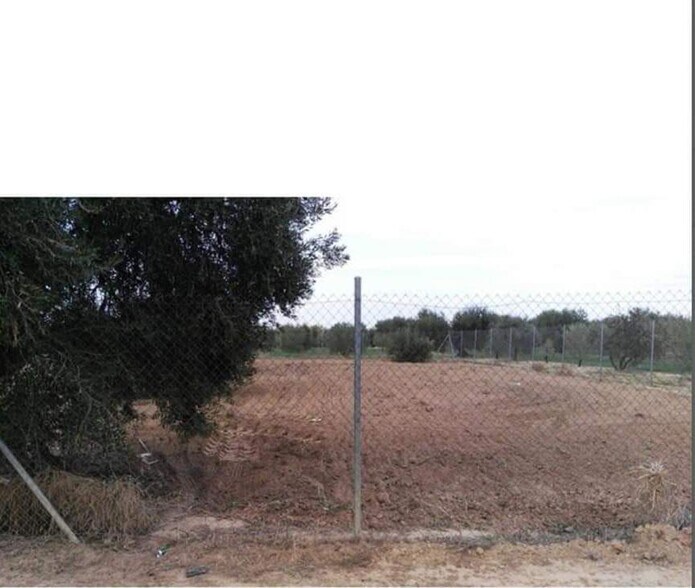 Land in Marchena for sale - Building Photo - Image 1 of 5